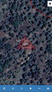 Aydın Karpuzlu Tekeler 360 M2 Zeytinlik