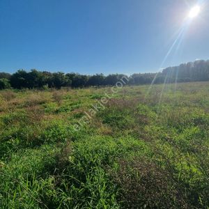 Rota'dan Toparlar'da 3597m2 Acil Satılık Kelepir Tarla