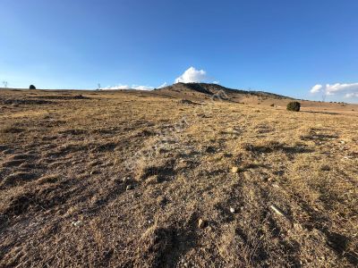 Afyon Bolvadin Kurucuova'da Yola Tek Parsel Fırsat Arazi!!!