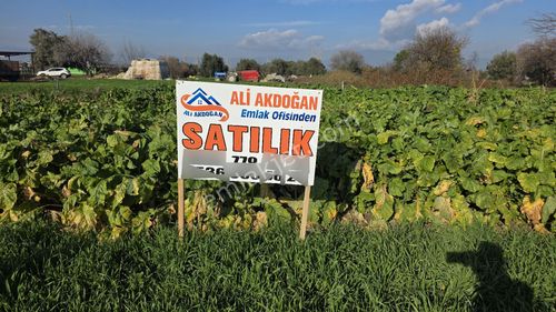 Ali Akdoğan Emlak Ofisinden
