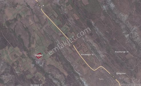 🌾 Danışment Mahallesi’nde 10 Dönüm Satılık Tarla 🌾