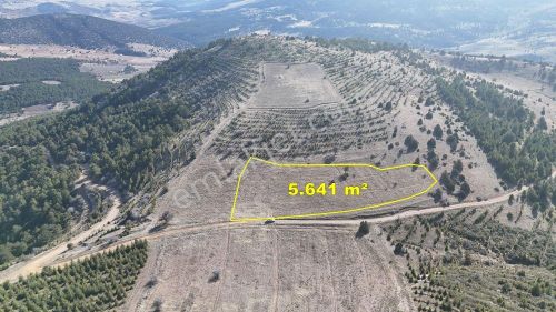 Konya / Ilgın / Gökçeyurt-özlem Mahallesinde 5.641 M² Müstakil Tapulu Tarla