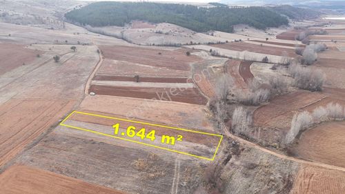 Konya / Ilgın / Belekler Mahallesinde 1.644 M² Müstakil Tapulu Tarla