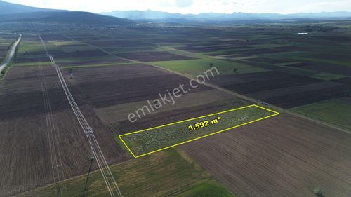 Akören Tülce De 3.592 M2 Müstakil Tapulu Tarla