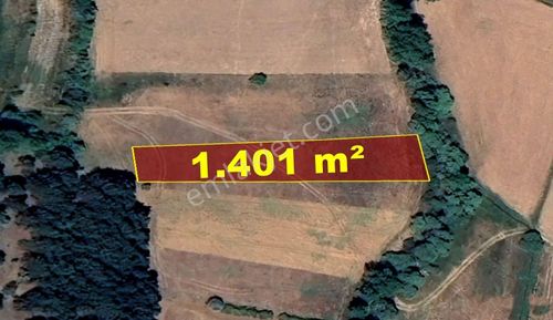 Konya / Derbent / Yukarı Mahallesinde 1.401 M² Müstakil Tapulu Tarla