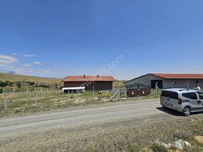 Konya Meram Karadiğin'de 9.600 M² Hazır Kurulu Besi Çiftliği