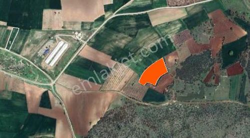 Akçapınar Mahallesinde 6.100 M2 Tarla, 1.250.000 Tl.