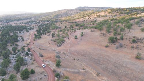 Konya / Bozkır / Hacılar Mahallesinde 542 M² Müstakil Tarla