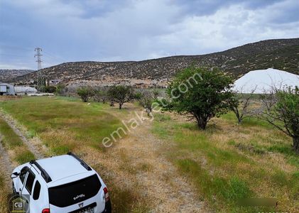 Elmalı Düdenköy Mah.7.620 M² Elma Bahçesi Satılıktır