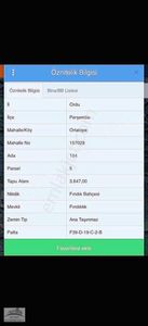 Güven'den Perşembe Ortatepede 4 Dönüme Yakın Fındık Bahçesi