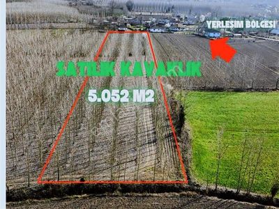 Yön Group'tan Kabakulak'ta Satılık Kavaklık