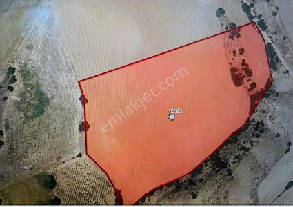 Polat Live Emlak'dan Orhaniyede Hisseli Tarla