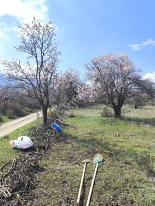 Isparta Senirkent 1800 M2