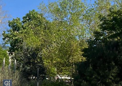 Beşiktaş Kiralık Prestijli Konum 120m² Asansörlü Nezih Apartman