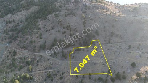 Karaman / Merkez / Bayır Mahallesinde 7.047 M² Müstakil Tapulu Tarla