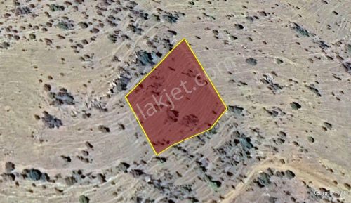 Konya / Hadim / Göynükkışla Mahallesinde 1.707 M² Müstakil Tapulu Tarla