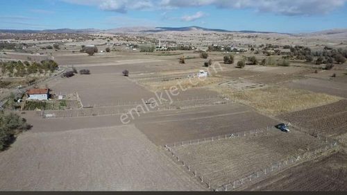 Sahibinden Müstakil Teli Çekili 1485 M2 Tarla