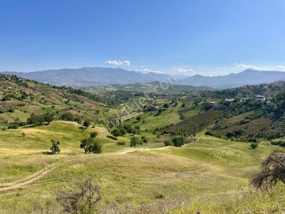 Cb'den Kürtül Mh.de Ana Yola Yakın Manzaralı Satılık Tarla