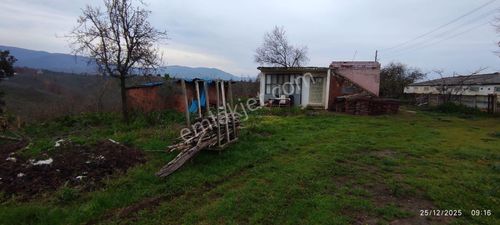 Akçakoca Merkeze Yakın İçinde Evi Olan-yol Kenarı- Su Elektrik Var Satılık Fındık Bahçesi