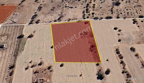 Konya / Selçuklu / Aşağıpınarbaşı Mahallesinde 3.071 M² Hisse Tapulu Bahçe