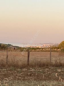 Çınarcık Şenköy’de Deniz Manzaralı Zeytinlik Tarla