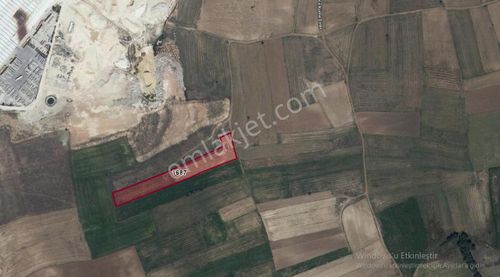 Eskişehir İnönü Tutluca’da 8.900 M² Tek Parça Tarla | Yatırımlık 1/2 Hissesi Verilecek