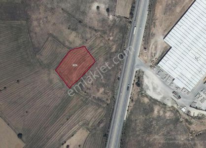 Eskişehir İnönü Tutluca’da 5.000 M² Satılık Tarla | Yılanlı Mevkii