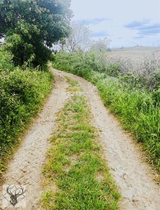 İpsala Kocahıdır Beldesin De Acil Satılık Köyün Dibinde 560m2