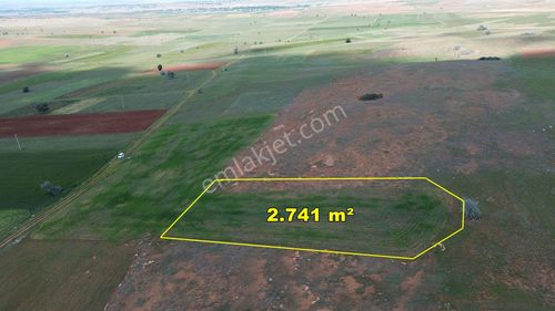 Akören Hacılar Da 2.741 M2 Müstakil Tapulu Tarla