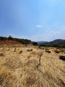 Çepnibektaş Satılık 16 Dönüm Tarım Ve Hayvancılık Tesis Alanı