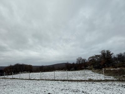 Ayaş-yağmurdede Mahallesinde Tek Tapu Köyiçi 3732 M2