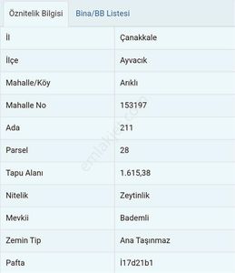 Ayvacık Arıklı Köyünde 1615 Metrekare Yolu Olan Verimli Zeytinli