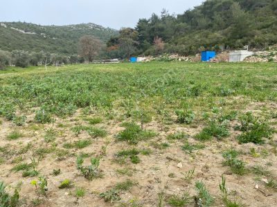 Kirazlı Dereboğaz Mevkiinde 2716 M² Tarla