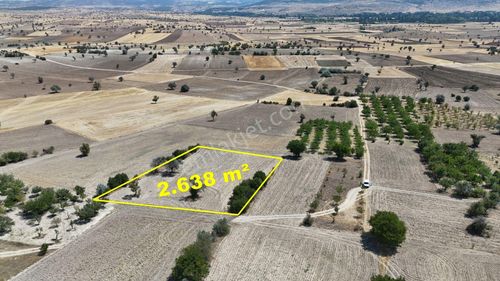 2.638 M² / Konya / Beyşehir / Yenidoğan / Tarla