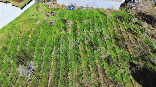 Kemalpaşa Merkez Dsi Yakını Satılık 10042 M2 Arazi