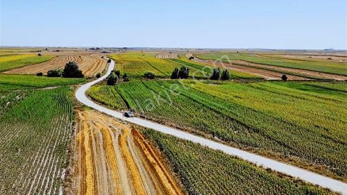 Beyazköy De Çift Yola Cephe 1483m Tek Tapu Tarla