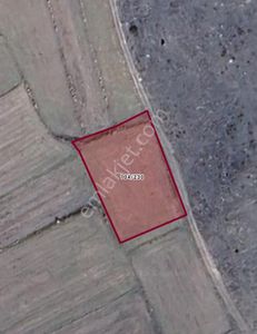 Deniz Yiğit Emlak' Tan Merkez Turgutlar Köyünde Satılık Tarla