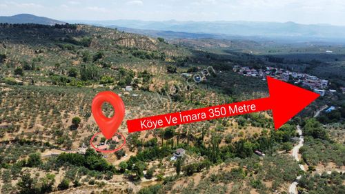 Mera Emlaktan Dereli Köyünde Ev+dam+su+ Mevcut 9.775m2 Zeytinlik