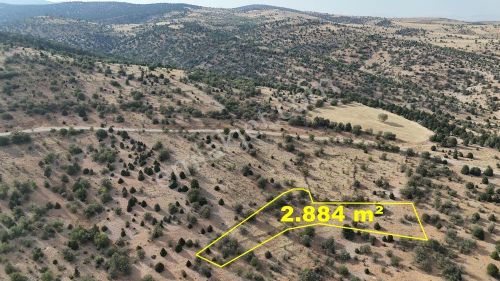 Konya / Akören / Belkuyu Mahallesinde 2.884 M² Müstakil Tapulu Bağ