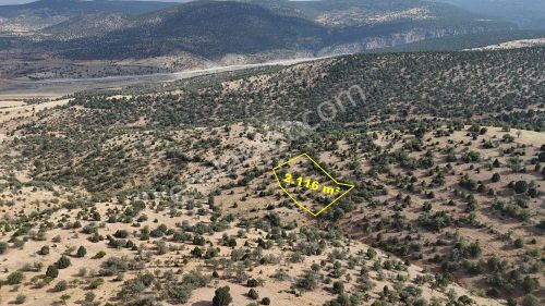 Konya / Akören / Belkuyu Mahallesinde 2.116 M² Müstakil Tapulu Bağ