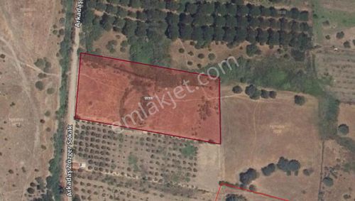 Alırken Kazanmanın Adresi ''fırsat Müzayede''