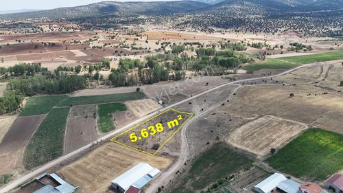 Konya / Akören / Tülce'de 300 Ağaçlık 5.638 M² Tarla Satılık