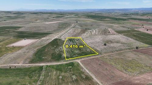Konya / Akören / Tülce Mahallesinde 8.416 M² Müstakil Tapulu Tarla