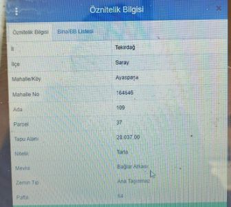 Tarlamız Hisse Tapulu Olup Kendi Yerimiz Satılıktır.yerleşim Yerine Yakındır .