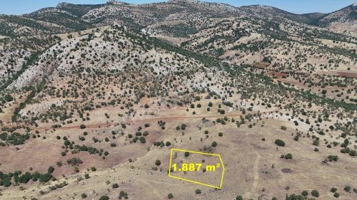 Konya / Güneysınır / Gürağaç Mahallesinde 1.887 M² Müstakil Tapulu Bağ