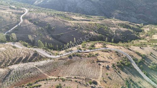 Konya / Hadim / Göynükkışla Mahallesinde 2.126 M² Müstakil Tapulu Bağ