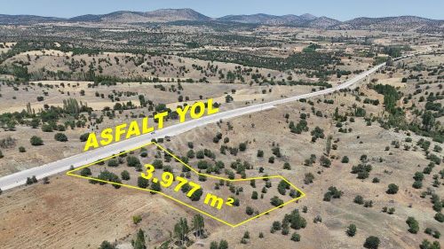 Konya / Güneysınır / Mehmetali Mahallesinde 3.977 M² Müstakil Tapulu Tarla