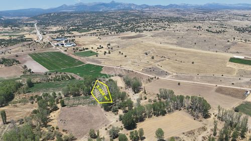 Konya / Akören / Tülce Mahallesinde 3.424 M² Müstakil Tapulu Kavaklık