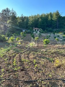 Stop’tan Dalaman Gürköy * Satılık Tarla*