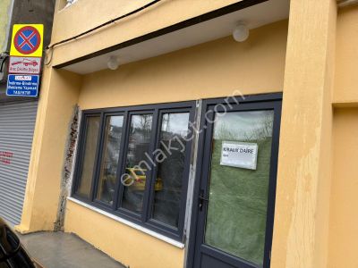 🏡 Caddeye Cepheli, Aydınlık, Yeni Tadilatlı Kiralık 1+1 Daire Veya Dükkan